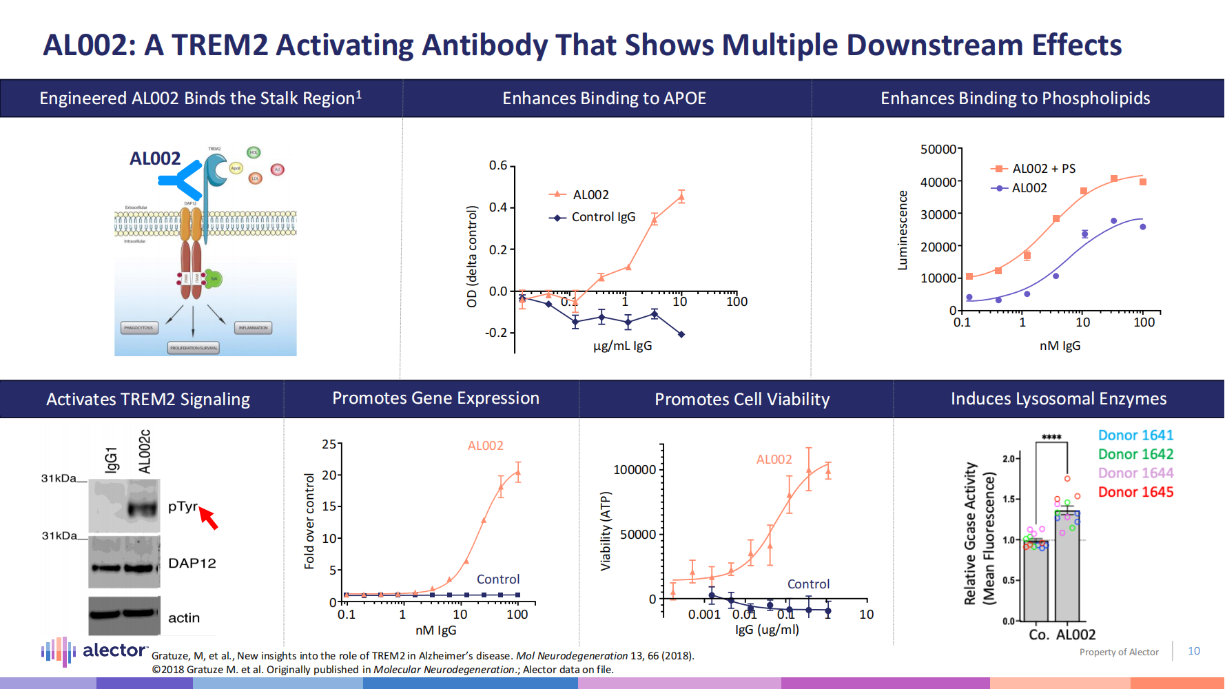 Pathological study of anti-human LILRB4 antibody in a mouse model of Alzheimer's disease